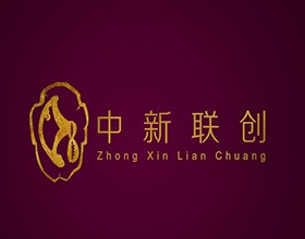 【中新聯(lián)創(chuàng)】金融企業(yè)LOGO設(shè)計理念講解,金融LOGO設(shè)計效果圖片欣賞